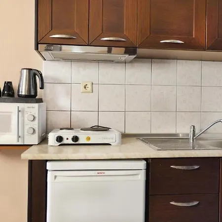 House Chrysoula Mitsokopi Apartment *